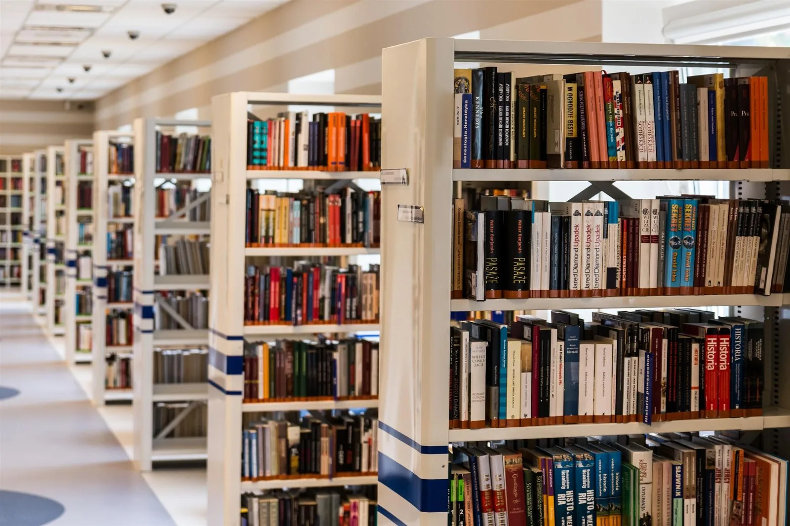 Rayonnages de bibliothèque